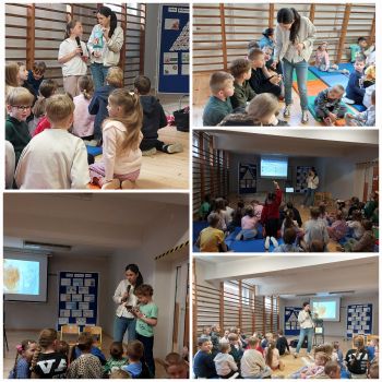 DNI ZDROWIA – MAJ 2026